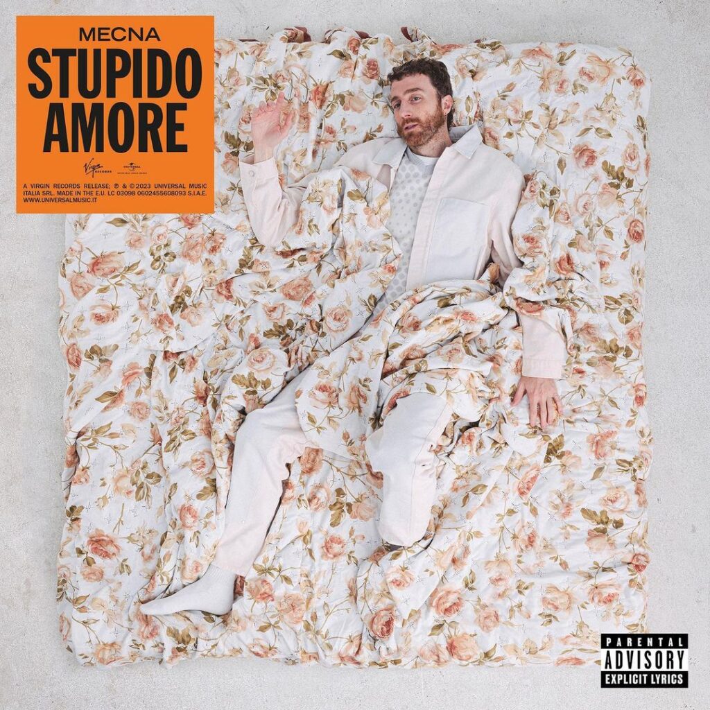 Mecna - Stupido Amore (cover)