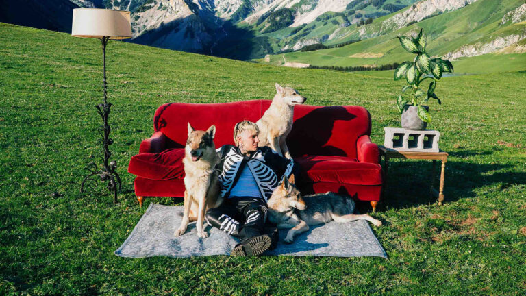 il tre cani randagi